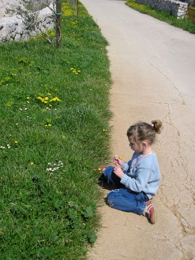 Jelena bere cvijece