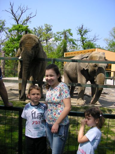 Marta, Dominik i Jelena u Zooloskom vrtu