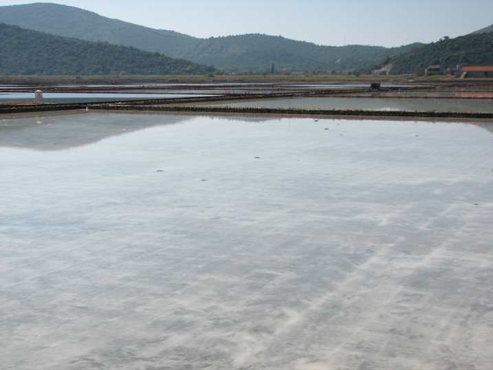 Ston saltworks